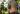 Una persona con la cabeza rapada y una mochila revisa su email mientras usa audífonos negros Sony over-ear al aire libre, con árboles de fondo.