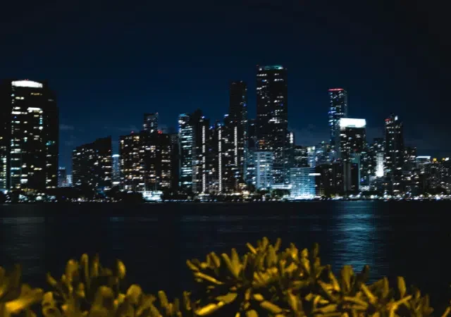 Panorámica de la ciudad con rascacielos iluminados y una cartelera brillante reflejada en el agua durante la noche, con plantas tropicales en primer plano.