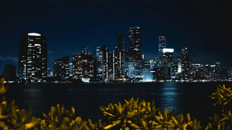 Panorámica de la ciudad con rascacielos iluminados y una cartelera brillante reflejada en el agua durante la noche, con plantas tropicales en primer plano.