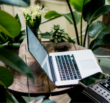Una laptop y un smartphone están sobre una mesa de madera rodeada de plantas verdes, listos para una masterclass online, con un cojín estampado en una silla cercana.