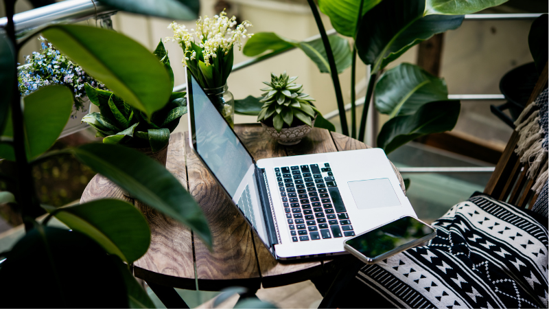 Una laptop y un smartphone están sobre una mesa de madera rodeada de plantas verdes, listos para una masterclass online, con un cojín estampado en una silla cercana.